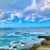 sakiさんのアイコン画像