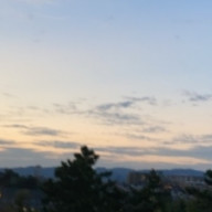 pinataさんのアイコン画像