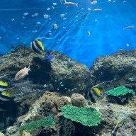 紗羅さんのアイコン画像