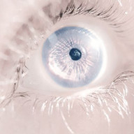 水登。さんのアイコン画像