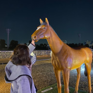 ayanaさんのアイコン画像