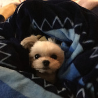 ゑぃ。さんのアイコン画像