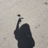 ♔*香夜🎠さんのアイコン画像