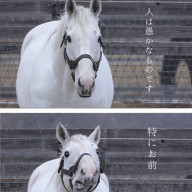 るちゃ#さんのアイコン画像