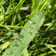 Abmmさんのアイコン画像