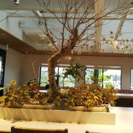 NGSさんのアイコン画像