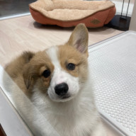 AKRIさんのアイコン画像