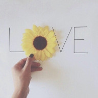 naaaaaaさんのアイコン画像