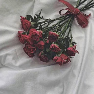 にこ兎🍊@元にこにこちゃん@無浮上さんのアイコン画像