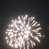 さくにゃさんのアイコン画像