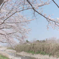 Smilesumileサブさんのアイコン画像