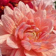 り〜 さんのアイコン画像