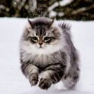 江戸川乱歩👓🌸＠お眠り中さんのアイコン画像