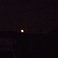 💎🐯さんのアイコン画像