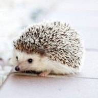 そーださんのアイコン画像