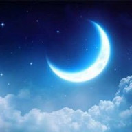 いずみさんのアイコン画像