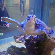 Riruruさんのアイコン画像