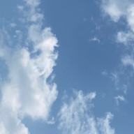 🦞🦖さんのアイコン画像