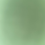 あめさんのアイコン画像