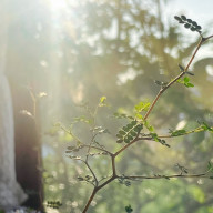 海さんのアイコン画像