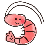 えびのみそ汁🦐さんのアイコン画像