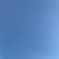 ろいさんのアイコン画像