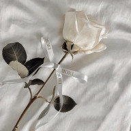 jvir_95さんのアイコン画像