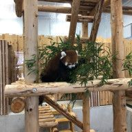 シルバー・ベルさんのアイコン画像