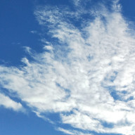 断然ご飯派さんのアイコン画像