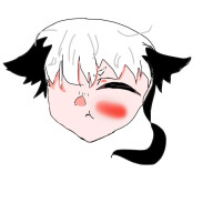 Nねこさんのアイコン画像