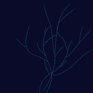 音月夜　時さんのアイコン画像