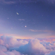 BIRD.さんのアイコン画像