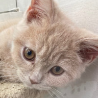 み〜さんのアイコン画像