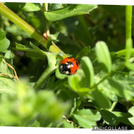 Ⓜ️さんのアイコン画像