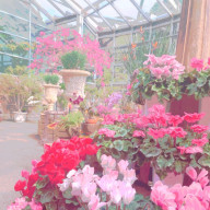 うさりんご🐰さんのアイコン画像