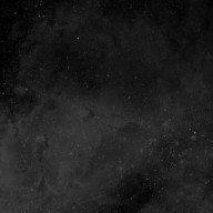 夢無さんさんのアイコン画像