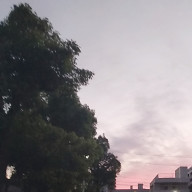 リンさんのアイコン画像