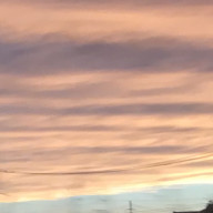 オモチ春〆㌨さんのアイコン画像