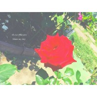 あいさんのアイコン画像