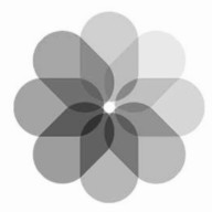 しょう*さんのアイコン画像