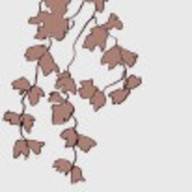 MIRUKUさんのアイコン画像