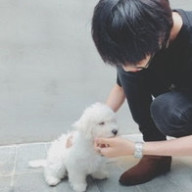 🐸🐨さんのアイコン画像