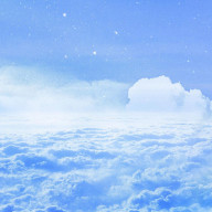 damyさんのアイコン画像