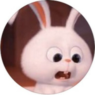 q8nly3さんのアイコン画像