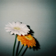 ssaa.Mさんのアイコン画像