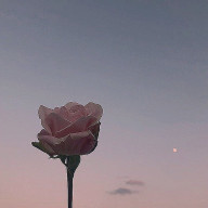 소윤＿さんのアイコン画像