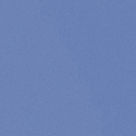 sareさんのアイコン画像