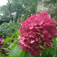 kanadeさんのアイコン画像