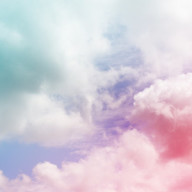 riyo( ･ᴗ･ )さんのアイコン画像