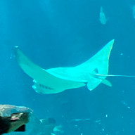 絵みゅーさんのアイコン画像